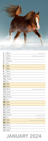 Horses - 2024 Slimline Slim Wall Calendar Hanging Planner New Year Gift - Side View