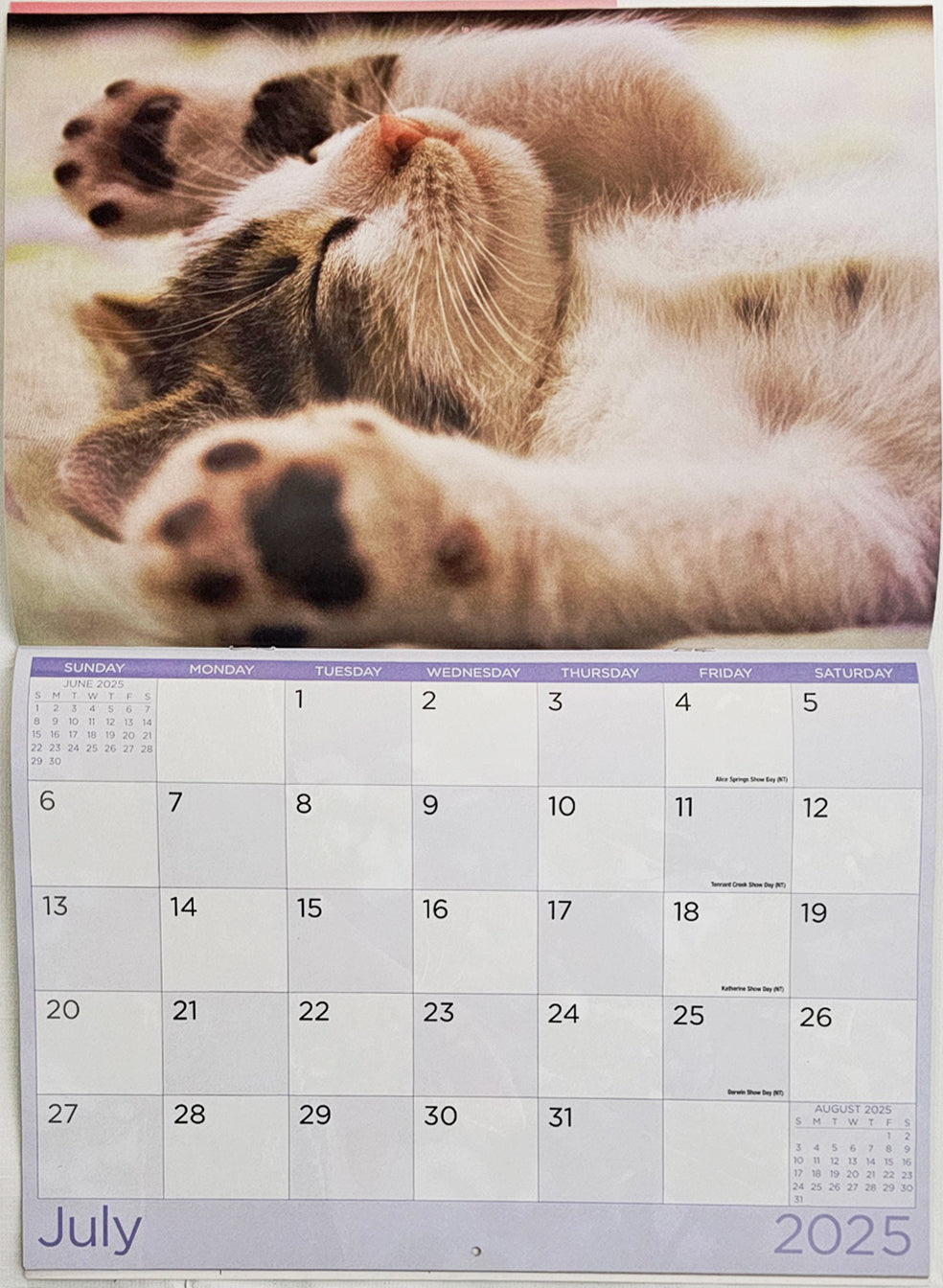 Cats And Kittens - 2025 Rectangle Wall Calendar 16 Months Hanging Animal Planner