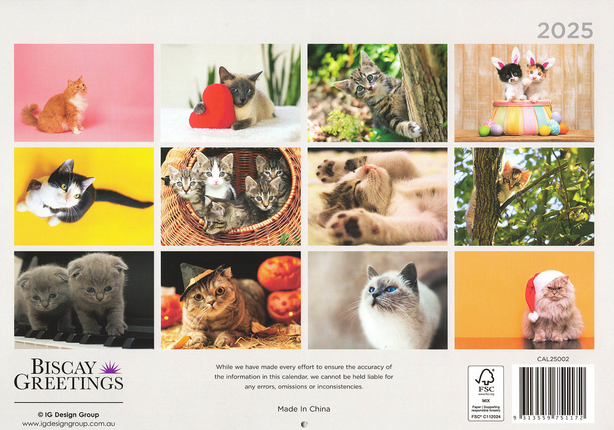 Cats And Kittens - 2025 Rectangle Wall Calendar 16 Months Hanging Animal Planner