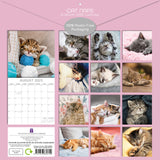 Cat Naps - 2025 Square Wall Calendar Pets Animals 16 Months Premium Planner Gift - Front View