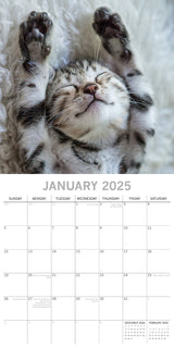 Cat Naps - 2025 Square Wall Calendar Pets Animals 16 Months Premium Planner Gift - Side View