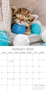 Cat Naps - 2025 Square Wall Calendar Pets Animals 16 Months Premium Planner Gift - Top-Down View