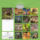 Country Wildlife - 2025 Square Wall Calendar Animals 16 Months Premium Planner - Front View
