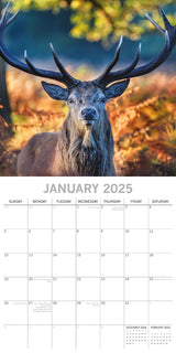 Country Wildlife - 2025 Square Wall Calendar Animals 16 Months Premium Planner - Side View