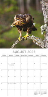 Country Wildlife - 2025 Square Wall Calendar Animals 16 Months Premium Planner - Top-Down View