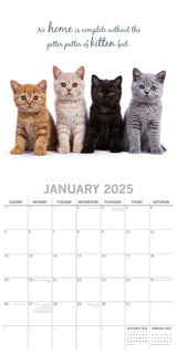 Cute Kittens - 2025 Square Wall Calendar Pets Animals 16 Months Premium Planner - Side View