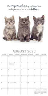 Cute Kittens - 2025 Square Wall Calendar Pets Animals 16 Months Premium Planner - Top-Down View