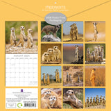 Meerkats - 2025 Square Wall Calendar Pets Animals 16 Months Premium Planner Gift - Front View