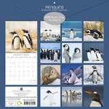 Penguins - 2025 Square Wall Calendar Pets Animals 16 Months Premium Planner Gift - Front View