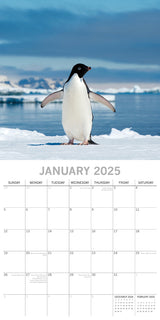 Penguins - 2025 Square Wall Calendar Pets Animals 16 Months Premium Planner Gift - Side View