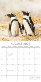 Penguins - 2025 Square Wall Calendar Pets Animals 16 Months Premium Planner Gift - Top-Down View