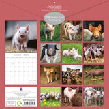 Piggies - 2025 Square Wall Calendar Pets Animals 16 Months Premium Planner Gift - Front View