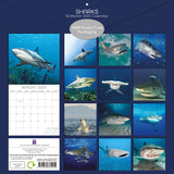 Sharks - 2025 Square Wall Calendar Pets Animals 16 Months Premium Planner Gift - Front View
