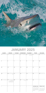 Sharks - 2025 Square Wall Calendar Pets Animals 16 Months Premium Planner Gift - Side View