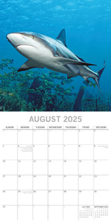 Sharks - 2025 Square Wall Calendar Pets Animals 16 Months Premium Planner Gift - Top-Down View