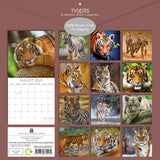 Tigers - 2025 Square Wall Calendar Pets Animals 16 Months Premium Planner Gift - Front View
