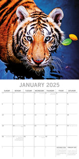 Tigers - 2025 Square Wall Calendar Pets Animals 16 Months Premium Planner Gift