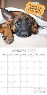 Dog Shaming 2025 Square Wall Calendar Pets Animals 16-Month Premium Planner Gift - Side View