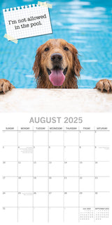 Dog Shaming 2025 Square Wall Calendar Pets Animals 16-Month Premium Planner Gift - Top-Down View