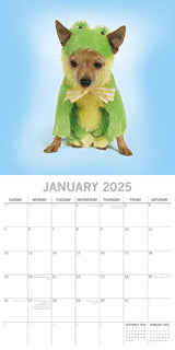 Dogs as Animals - 2025 Square Wall Calendar Pets Animals 16 Months Planner Gift - Side View
