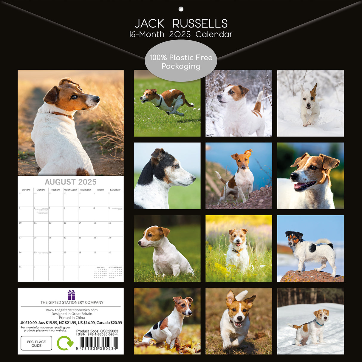 Jack Russells - 2025 Square Wall Calendar Dogs Pets Animals 16 Months Planner