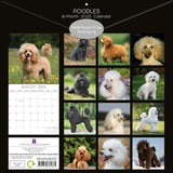 Poodles - 2025 Square Wall Calendar Dogs Pets Animals 16 Months Premium Planner - Front View
