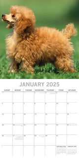 Poodles - 2025 Square Wall Calendar Dogs Pets Animals 16 Months Premium Planner - Side View