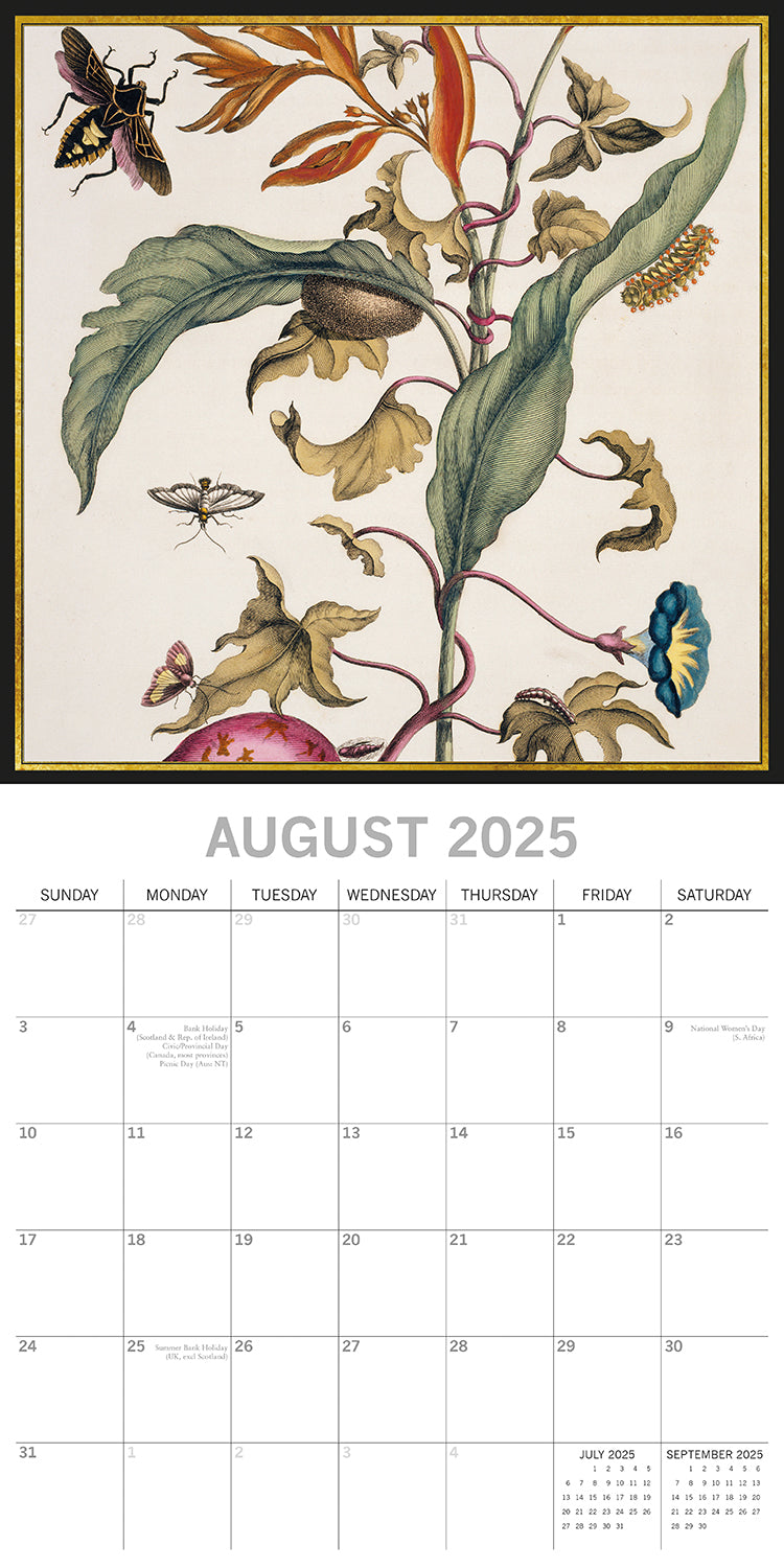 Insects - 2025 Square Wall Calendar Arts 16 Months Premium Planner Gift