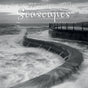 Seascapes - 2025 Square Wall Calendar 16 Months Premium Planner Christmas Gift