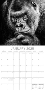 Seascapes - 2025 Square Wall Calendar 16 Months Premium Planner Christmas Gift - 45-Degree Angle