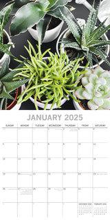 House Plants - 2025 Square Wall Calendar Floral 16 Months Premium Planner Gift - Side View