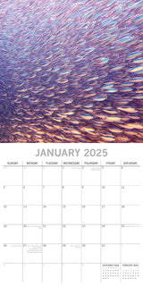 Under the Sea 2025 Square Wall Calendar 16 Months New Year Premium Planner Gift - Side View