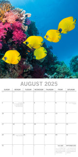Under the Sea 2025 Square Wall Calendar 16 Months New Year Premium Planner Gift - Top-Down View