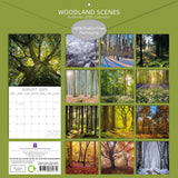 Woodland Scenes 2025 Square Wall Calendar 16 Months New Year Xmas Planner Gift - Front View