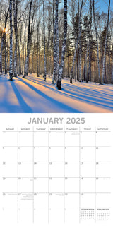 Woodland Scenes 2025 Square Wall Calendar 16 Months New Year Xmas Planner Gift