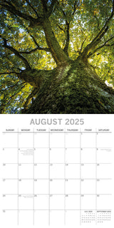 Woodland Scenes 2025 Square Wall Calendar 16 Months New Year Xmas Planner Gift
