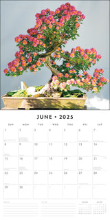 Bonsai - 2025 Square Wall Calendar Floral16 Month Premium Planner New Year Gift - Front View
