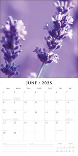 Lavender - 2025 Square Wall Calendar Floral 16 Months Premium New Year Planner