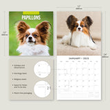 Papillions - 2025 Square Wall Calendar Animals 16 Months Premium Planner Gift - Top-Down View