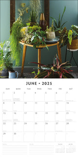 House Plants - 2025 Square Wall Calendar Floral16 Months Premium Planner Gift - Front View