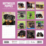 Rottweiler Puppies - 2025 Square Wall Calendar Animals 16 Months Premium Planner - Side View