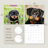 Rottweiler Puppies - 2025 Square Wall Calendar Animals 16 Months Premium Planner - Top-Down View