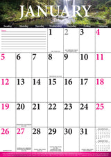 Big Grid - 2025 Rectangle Wall Calendar 13 Months Large Date Boxes Easy Planning - Front View