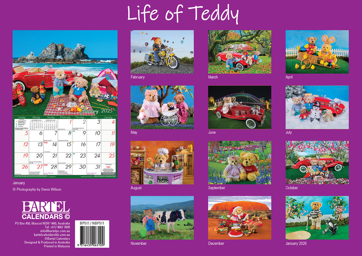 Life of Teddy - 2025 Rectangle Wall Calendar 13 Months Planner Adventures Gift