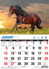 Horses - 2025 Rectangle Wall Calendar 16 Months Animal Planner New Year Gift - Front View