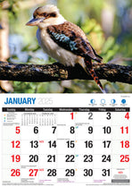 Australian Wildlife - 2025 Rectangle Wall Calendar 16 Months Animal Photography