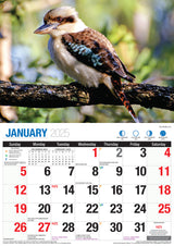 Australian Wildlife - 2025 Rectangle Wall Calendar 16 Months Animal Photography - Front View