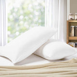 1000TC Premium Ultra Soft King size Pillowcases 2-Pack - White - Front View