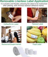 6 Rolls Lineless Printing Label Paper 80 mm × 52 m - Top-Down View