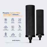 Phoenix Stainless Steel 8L with Smart Carbon Filter - 45-Degree Angle